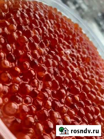 Икра красная Бийск - изображение 1