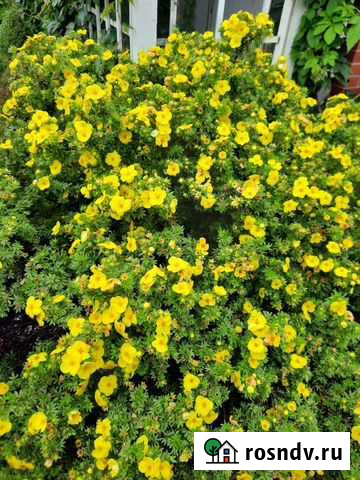 Реклама на автомобили Санкт-Петербург - изображение 1