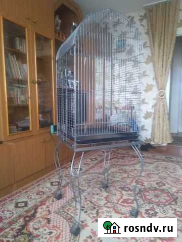 Клетка для попугая Пригорск - изображение 1