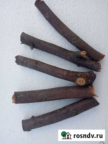 Палочки и Стручки зерна для грызунов Каменск-Уральский - изображение 1