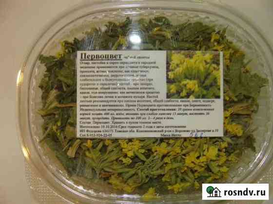Первоцвет Томск