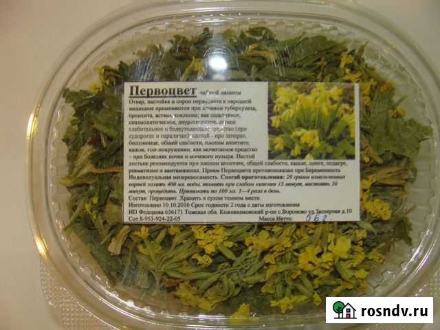 Первоцвет Томск - изображение 1