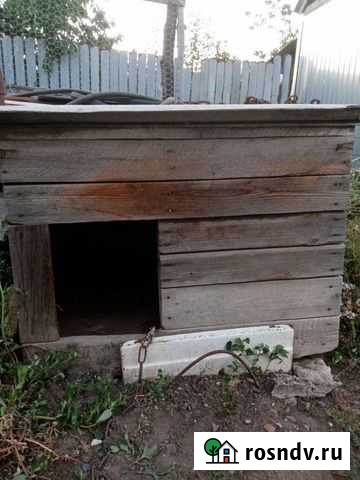 Будка для собаки Михайловка - изображение 1