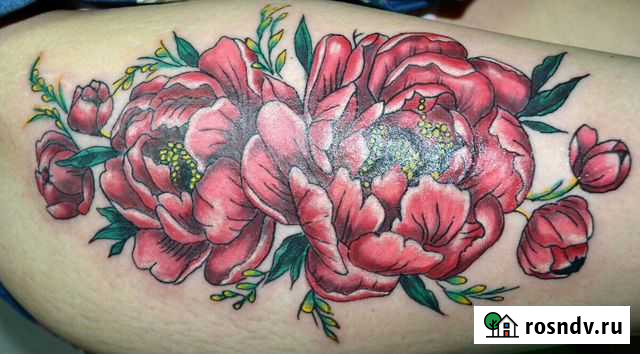 Татту Будённовск - изображение 1