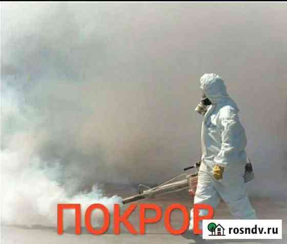 Уничтожение клопов, тараканов, блох, плесени, ос Покров