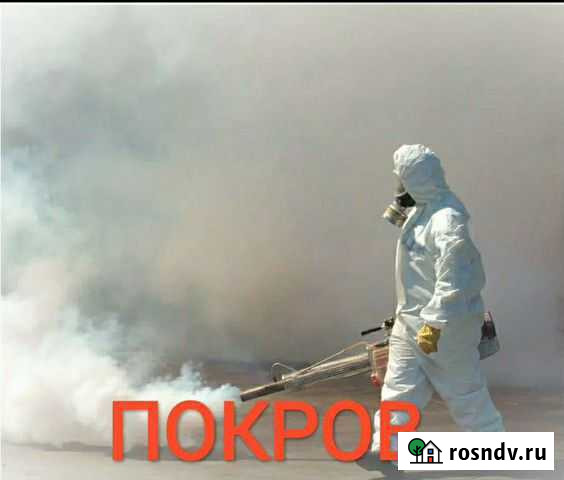 Уничтожение клопов, тараканов, блох, плесени, ос Покров - изображение 1