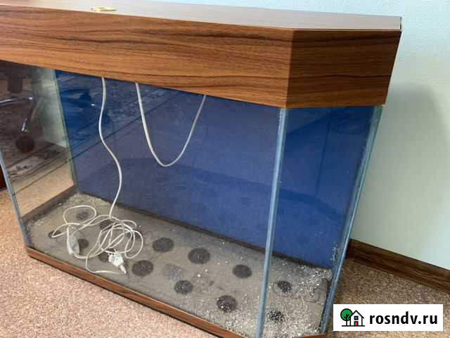 Аквариум Кемерово - изображение 1