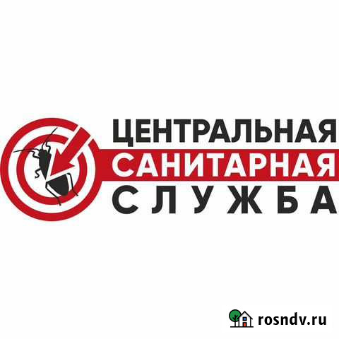 Уничтожение Клопов Тараканов Блох Муравьев Мышей Благовещенск - изображение 1