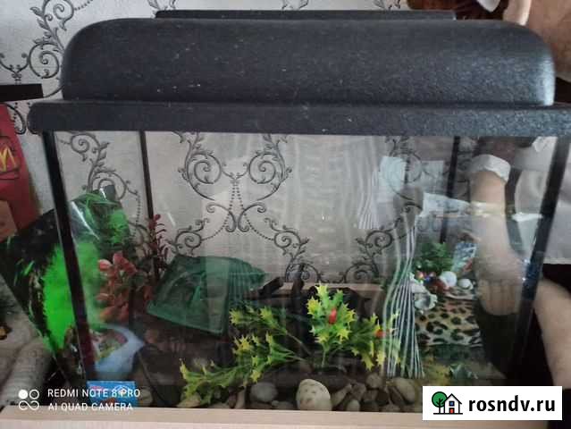 Аквариум с подсветкой, фильтр, водоросли искусстве Екатеринбург - изображение 1