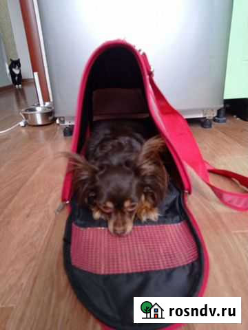 Переноска Новокузнецк - изображение 1