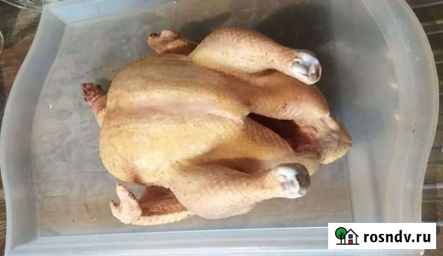 Цыплята бройлеры Кемерово - изображение 1