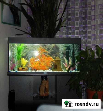 Аквариум Новокузнецк - изображение 1