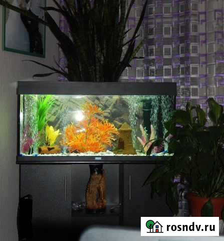 Аквариум Новокузнецк - изображение 1