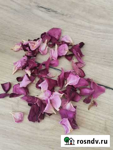 Розовые розы Светки Соколовой, лепестки сушеные Красноярск - изображение 1