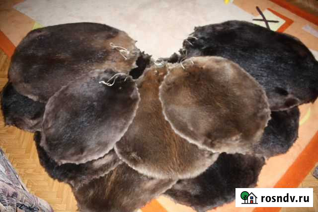 Шкуры Череповец - изображение 1