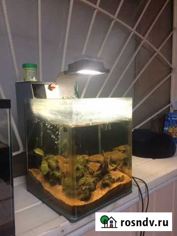 Аквариум Dennerle 20 л Канск - изображение 1