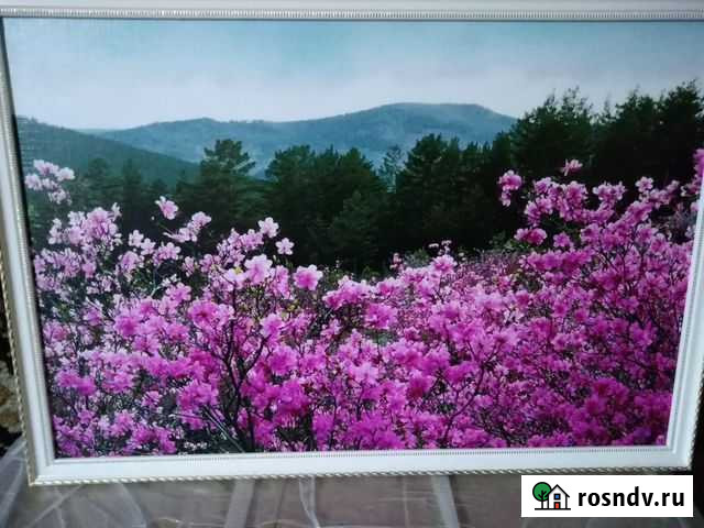 Фото картина Ессентуки - изображение 1