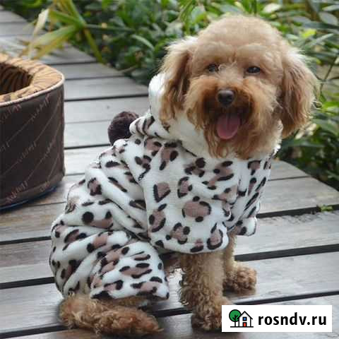 Курточки для собак Трехгорный - изображение 1