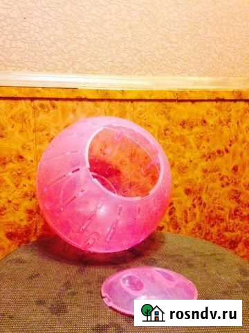 Прогулочный шар б/у Одинцово - изображение 1