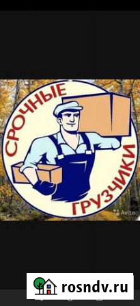Грузчики Вологда - изображение 1