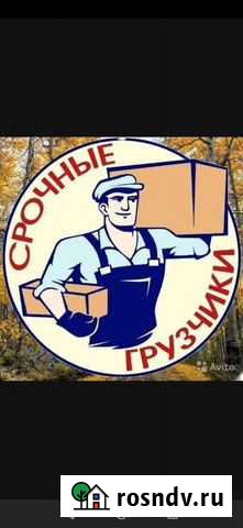 Грузчики Вологда - изображение 1