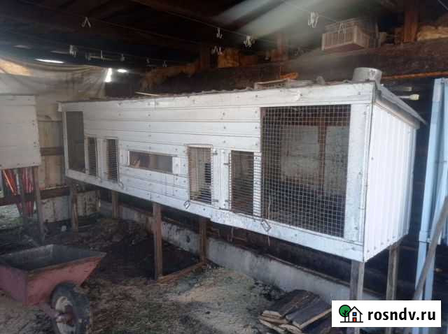 Клетка для кроликов Благовещенск - изображение 1