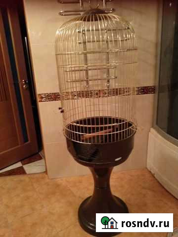 Клетка на запчасти Смышляевка - изображение 1