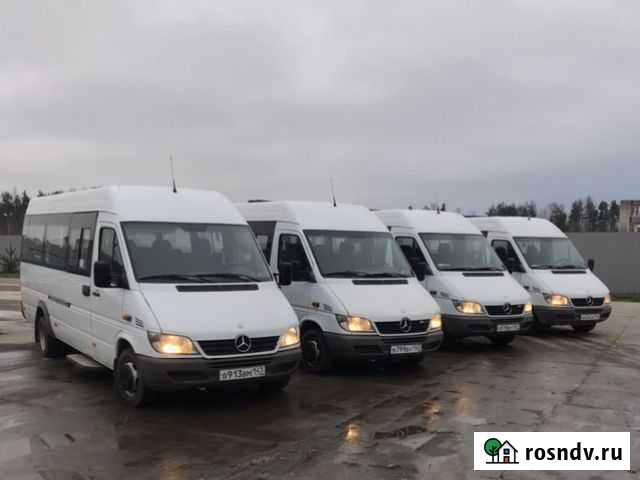 Пассажирские перевозки Кингисепп - изображение 1