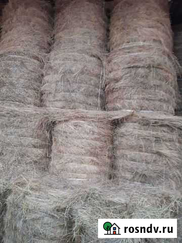 Сено в тюках Минусинск - изображение 1