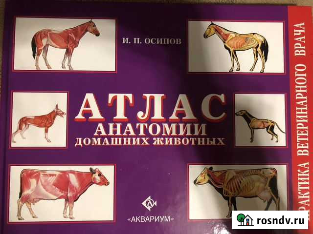 Атлас анатомии домашних животных Осипов Ржев - изображение 1