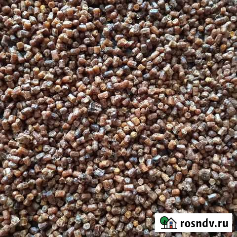 Перга пчелиная Пушкино - изображение 1