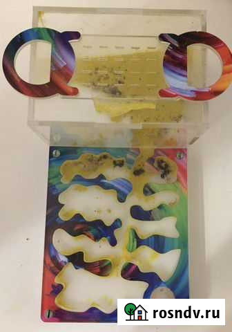 Ферма муравьев Петрозаводск - изображение 1