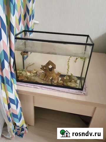 Аквариум Подольск - изображение 1