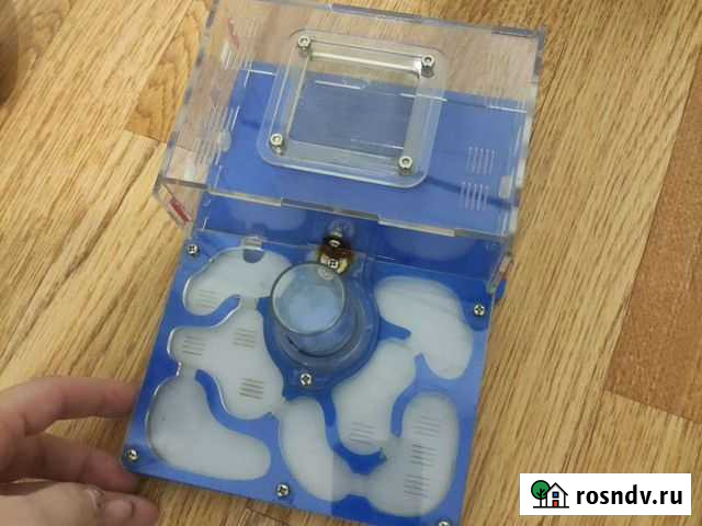 Муравьиная ферма Санкт-Петербург - изображение 1