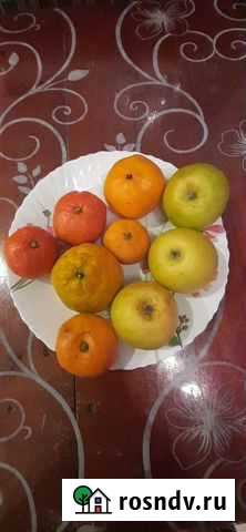 Мандарины, яблоки Псков - изображение 1