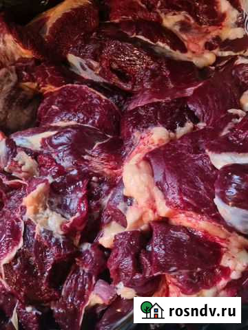 Мясо для собак Тобольск - изображение 1