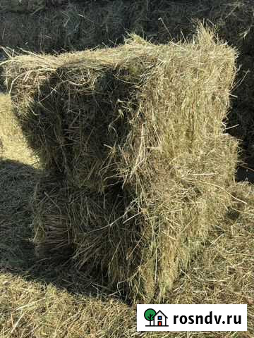Сено луговое в тюках Вольск - изображение 1