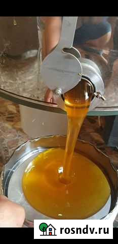 Мёд 2021 года Анапа - изображение 1