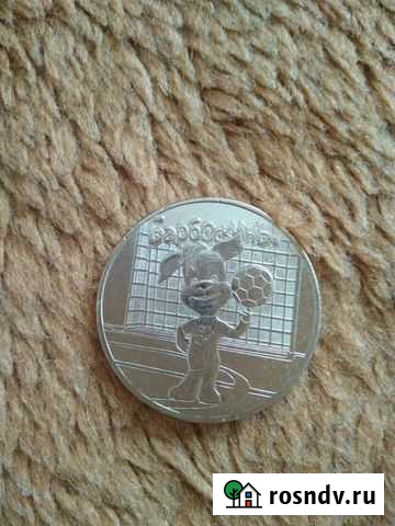 Барбоскины. забивака. космос. Нижний Новгород Мичуринск - изображение 1