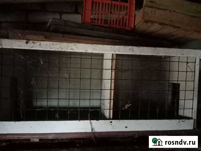 Клетка для кроликов Ярославль - изображение 1