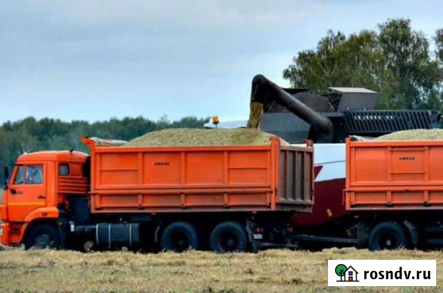 Грузоперевозки Омск - изображение 1