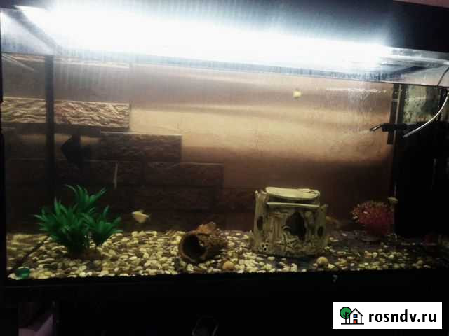 Аквариум 250л Екатеринбург - изображение 1