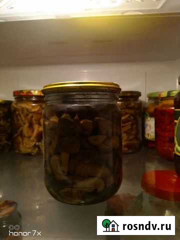 Грибы Черногорск - изображение 1