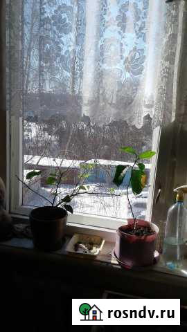 3-комнатная квартира, 64 м², 3/3 эт. на продажу в Павлово Нижегородской области Павлово - изображение 1