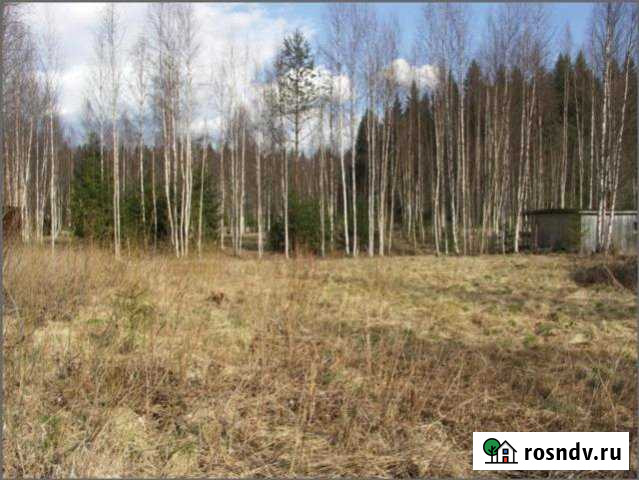 Участок СНТ, ДНП 12 сот. на продажу в Рощино Ленинградской области Рощино - изображение 1