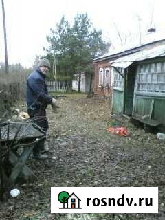 Дом 42 м² на участке 40 сот. на продажу в Пронске Пронск - изображение 1