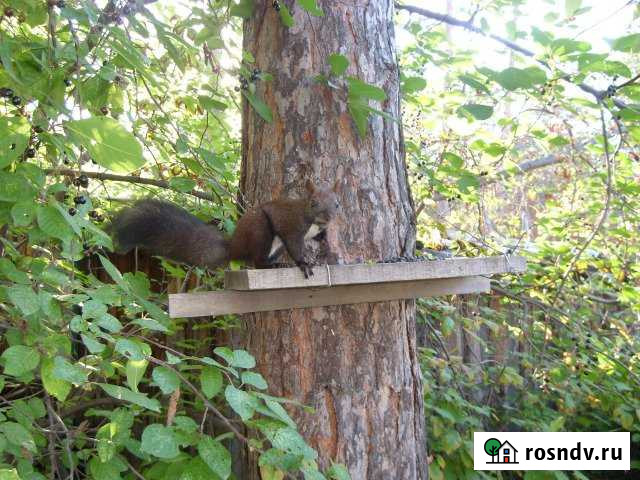 Дача 36 м² на участке 11 сот. на продажу в Якутске Якутск - изображение 1