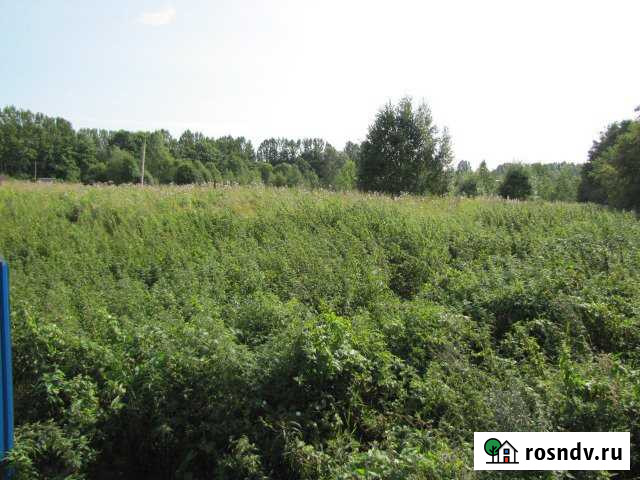 Участок ИЖС 20 сот. на продажу в Приозерске Приозерск - изображение 1