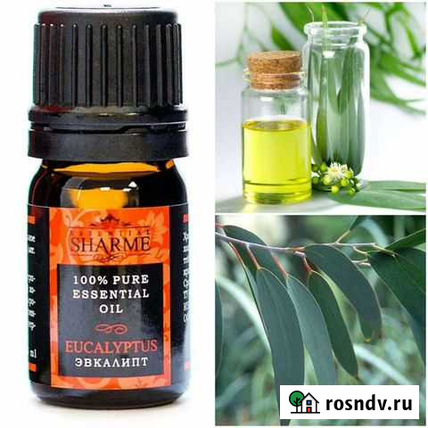 Масло эвкалипта Новый Уренгой - изображение 1