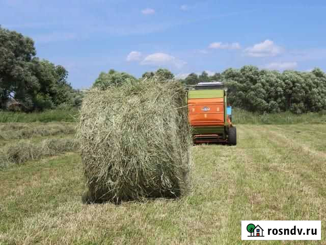 Сено Залегощь - изображение 1